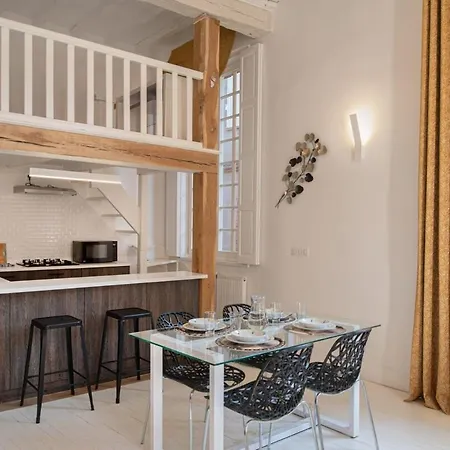 D'exception Au Pied De La Cathedrale * Albi