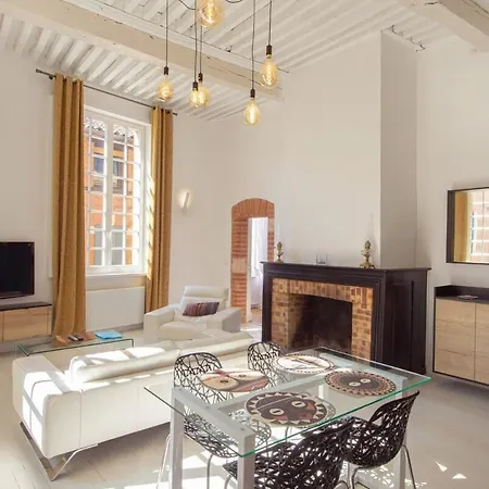 Apartmán D'exception - Au Pied De La Cathedrale D'albi Albi