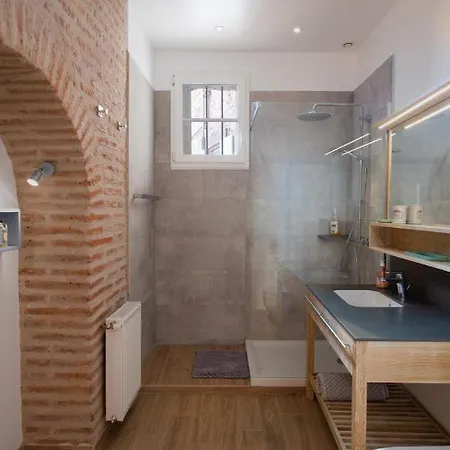 Apartmán D'exception - Au Pied De La Cathedrale D'albi Albi