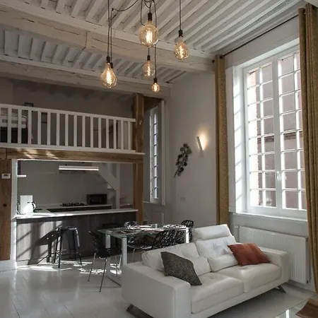 Appartement D'Exception - Au Pied De La Cathedrale D'Albi * 阿尔比