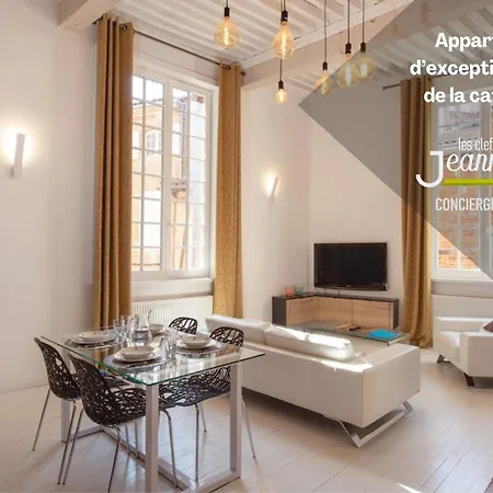 Apartmán D'exception - Au Pied De La Cathedrale D'albi